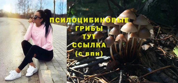 первитин Касимов