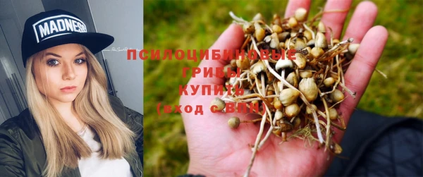 MESCALINE Карпинск