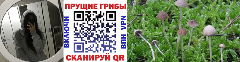 Псилоцибиновые грибы ЛСД Купить где Верхоянск